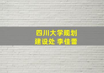 四川大学规划建设处 李佳蕾